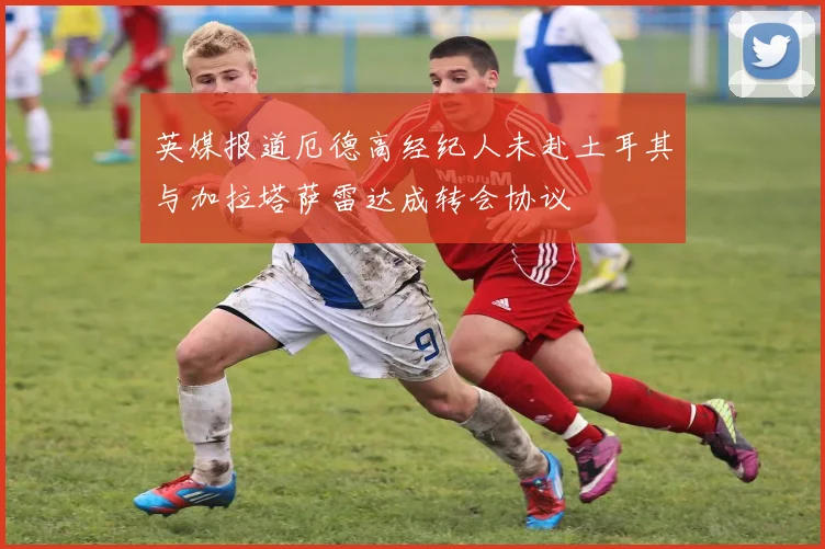 英媒报道厄德高经纪人未赴土耳其与加拉塔萨雷达成转会协议